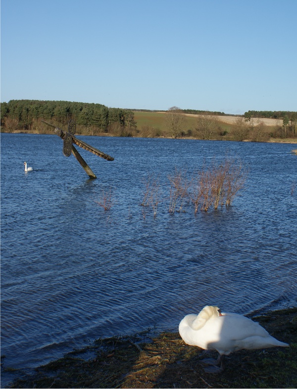 Pitsford Water.jpg